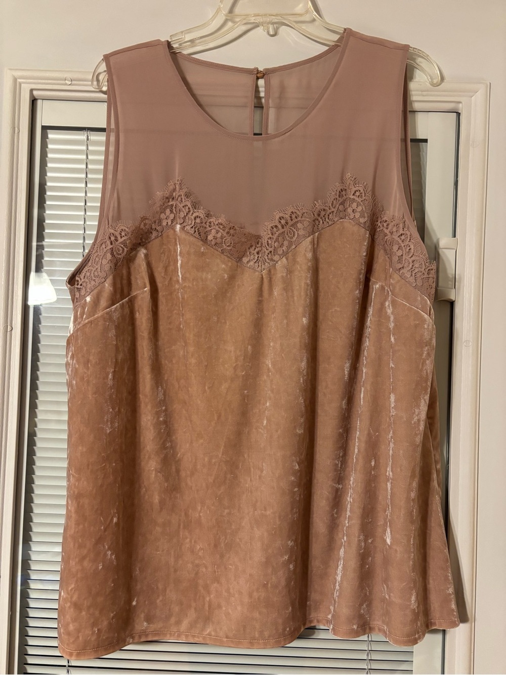 Lane Bryant Mauve Lace Accent Velvet Tank